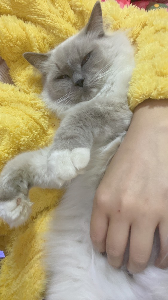 💖一甜的主播照片