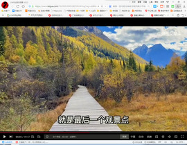 保利哥主播照片