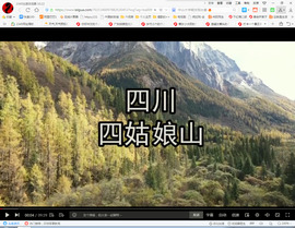 保利哥主播照片
