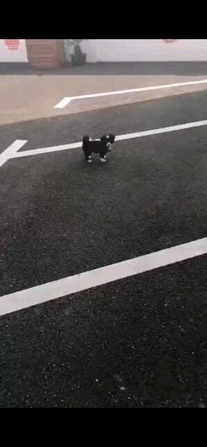 再次看见你，看看你就