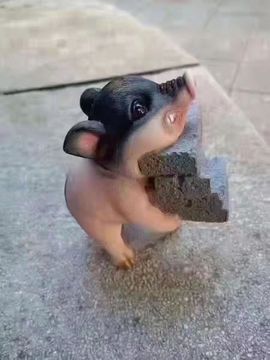 心中无结。。主播照片