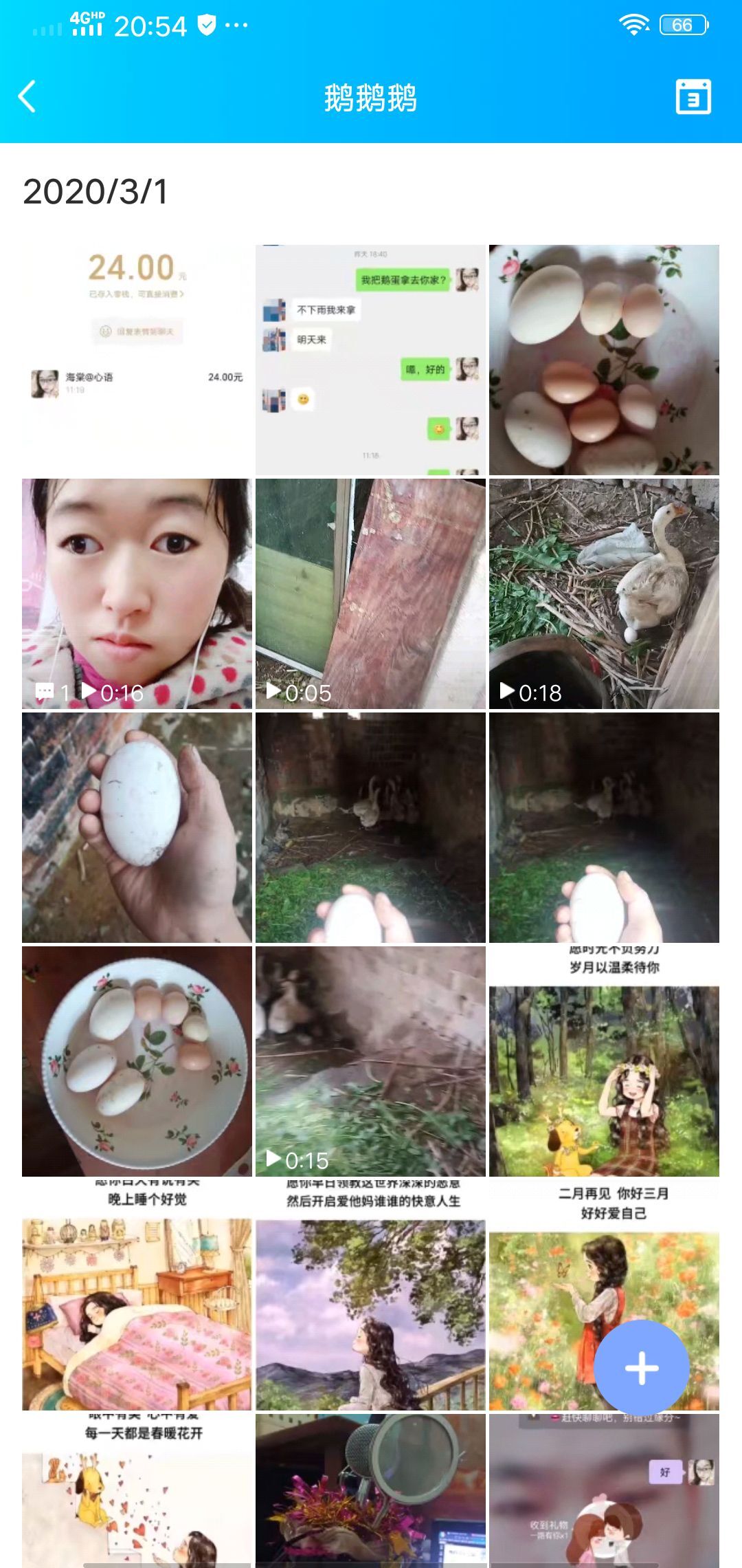 果果(平安好运)的图片