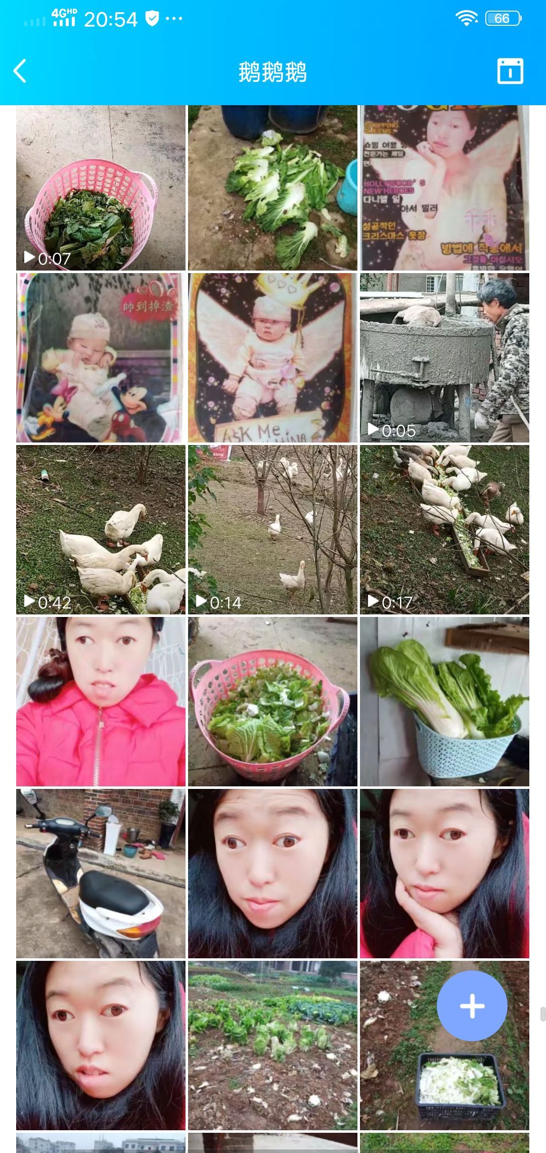果果(平安好运)的图片
