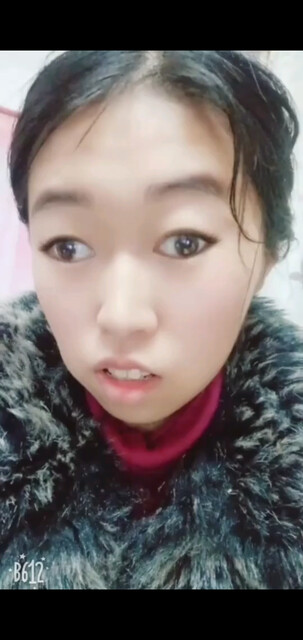 真心的流浪