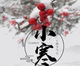 დ释怀დ主播照片