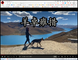 保利哥主播照片
