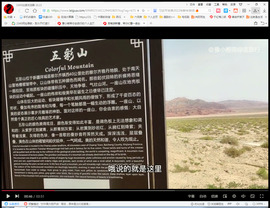 保利哥主播照片