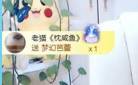 金麒麟安静唱歌🎤的图片