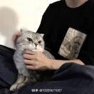 傲视狂杀h