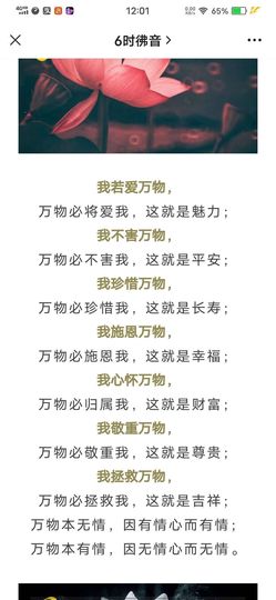 佑道♥恭贺YOU杨禧主播照片