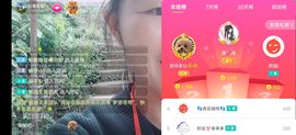 云南壹姐主播照片