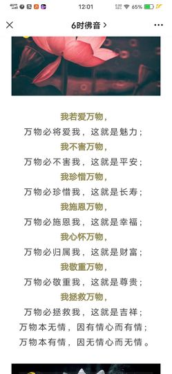 佑君♥《平安好运》的图片