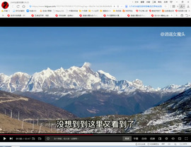 保利哥主播照片
