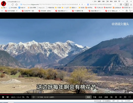 保利哥主播照片