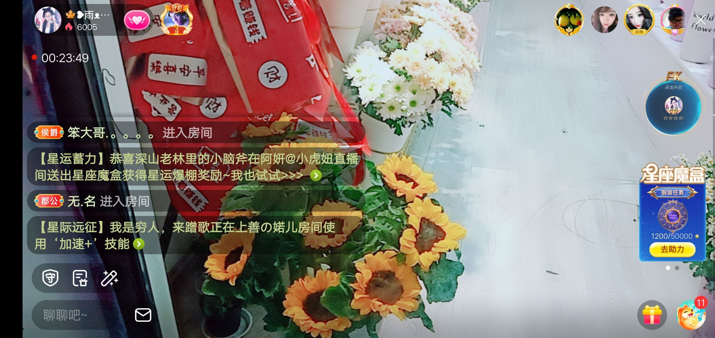 果果(平安好运)的图片
