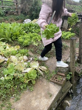可可可可休息主播照片