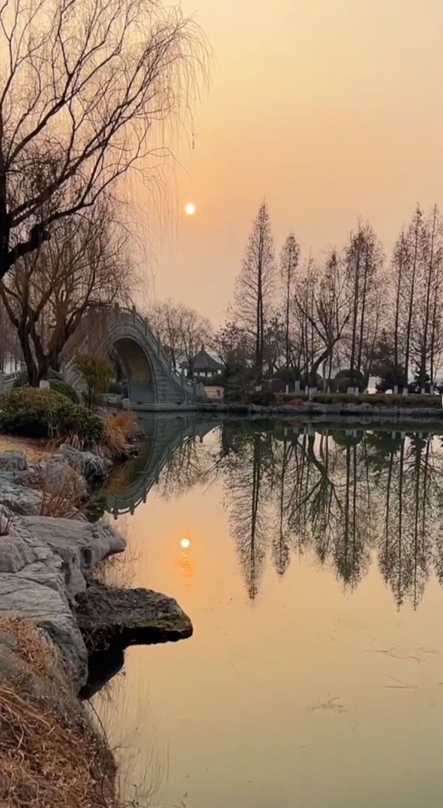 婷婷💕感恩有你陪伴的图片
