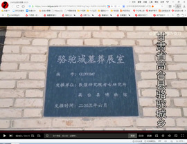 保利哥主播照片