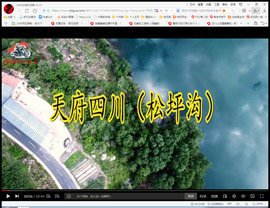 保利哥主播照片