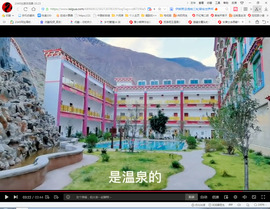 保利哥主播照片