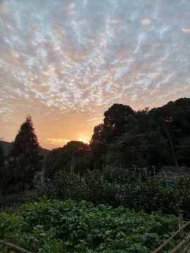 小谢农村田园生活主播照片