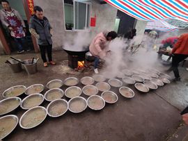 ~春天里的禾苗…主播照片