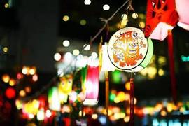 你不在意我何必珍惜！的图片