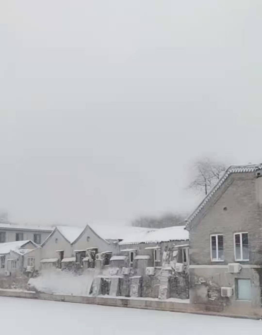 果果(平安好运)的图片