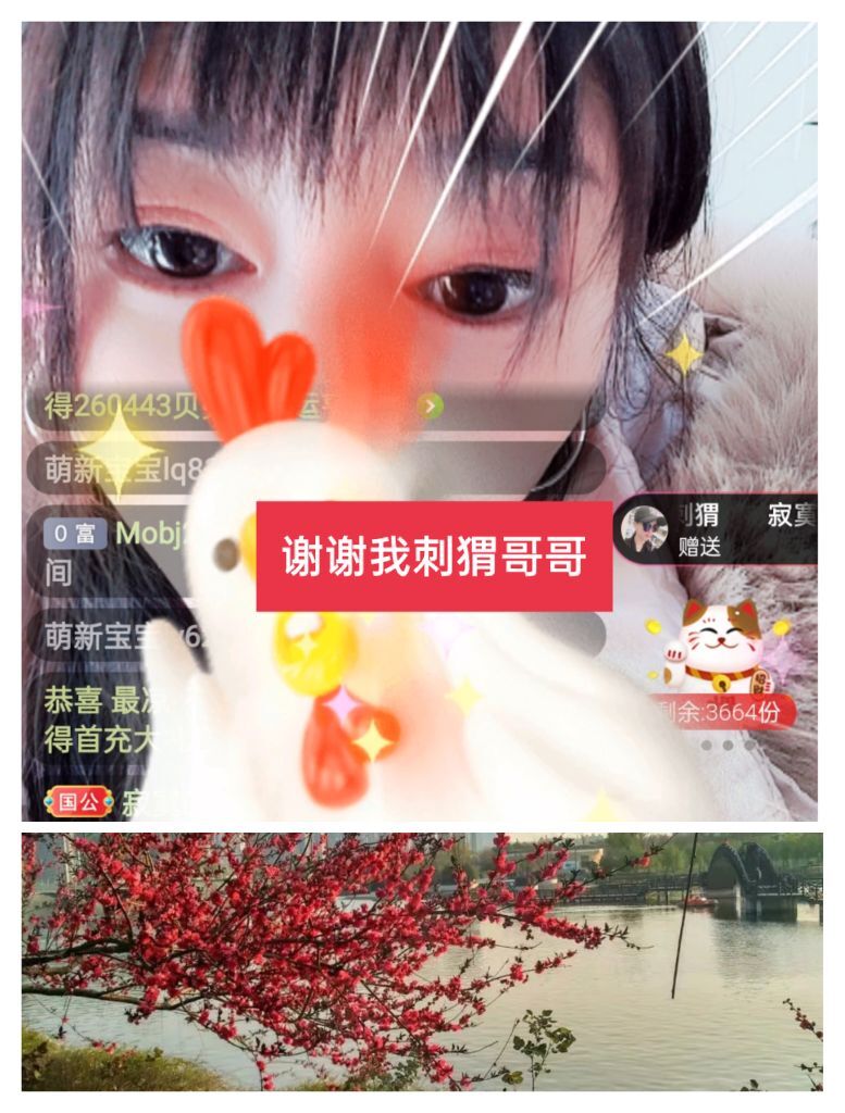 婷婷💕感恩有你陪伴的图片
