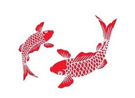 დ释怀დ主播照片