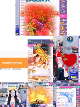 虹宝❣唱歌晚11点主播照片