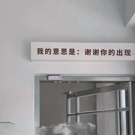 我是隐身娃主播照片