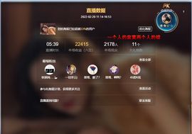 天鹅飞远了主播照片