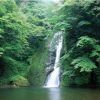 古建油漆小熊