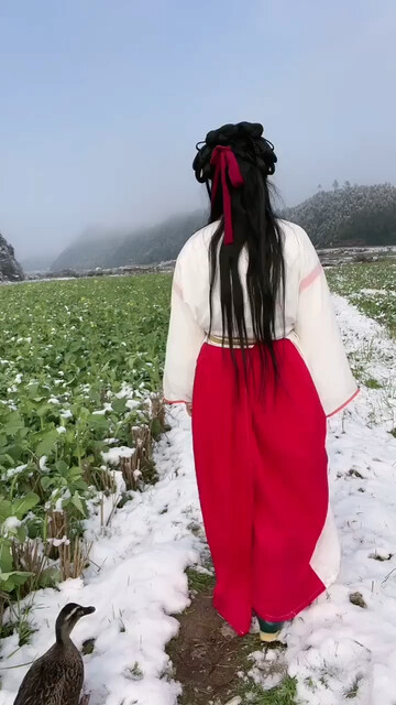 雪后的田园风光格外美