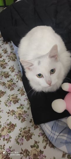 玉颜❤️等你来宠主播照片