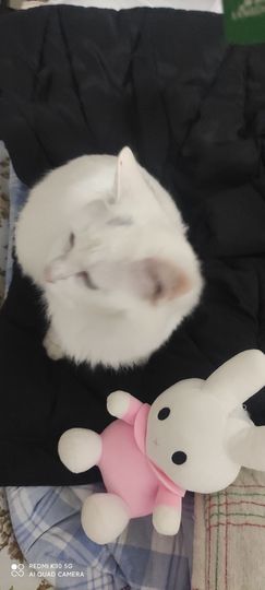 玉颜❤️等你来宠主播照片