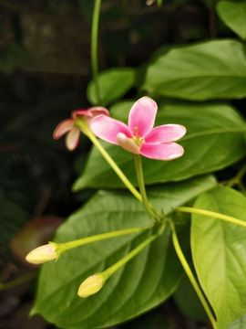 დ释怀დ主播照片