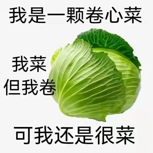 老实巴交大伊万的主播照片