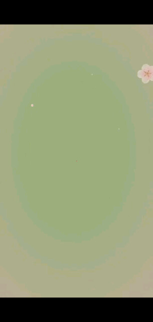 家人们早上好！