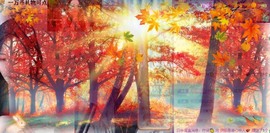 娜塔莎退主播照片