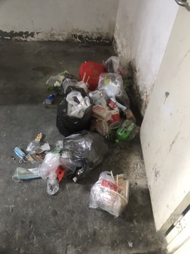 茶茶幸运星主播照片