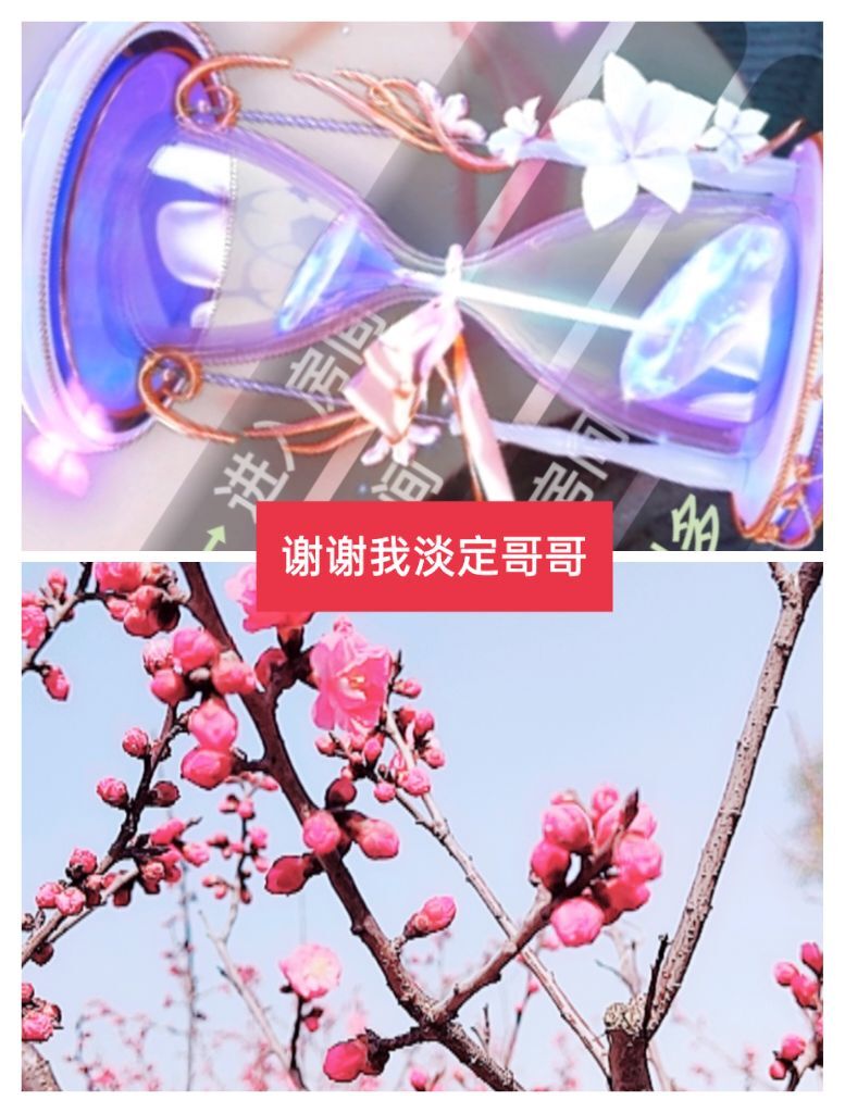 婷婷💕感恩有你陪伴的图片