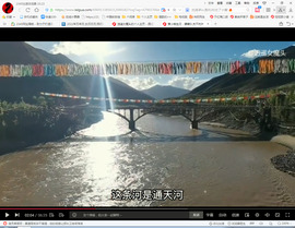 保利哥主播照片