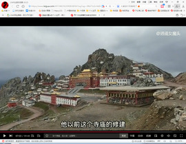 保利哥主播照片