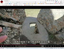 保利哥主播照片