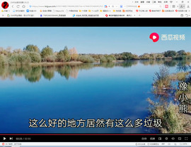 保利哥主播照片