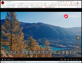 保利哥主播照片