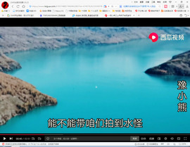 保利哥主播照片