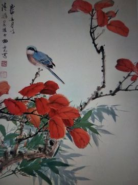 余音~~的图片